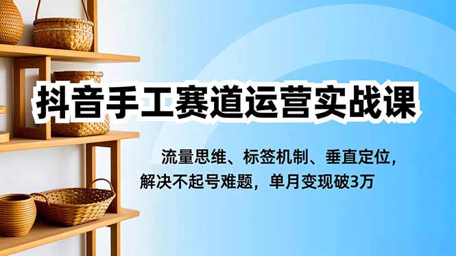 抖音手工赛道运营实战课，流量思维、标签机制、垂直定位，解决不起号难题，单月变现破3万|网创挖金社