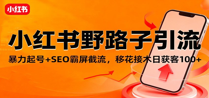 小红书野路子引流，暴力起号+SEO霸屏截流，移花接木日获客100+|网创挖金社