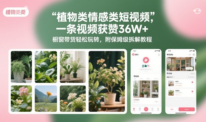 植物类情感类短视频，一条视频获赞36W+，橱窗带货轻松玩转，附保姆级拆解教程|网创挖金社