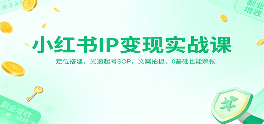 小红书IP变现实战课：定位搭建，光速起号SOP，文案拍摄，0基础也能赚钱|网创挖金社