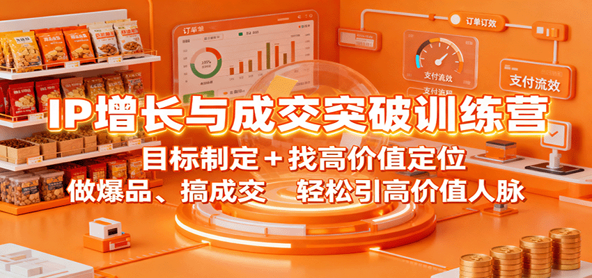 IP增长与成交突破训练营：目标制定+找高价值定位，做爆品、搞成交，轻松引高价值人脉|网创挖金社