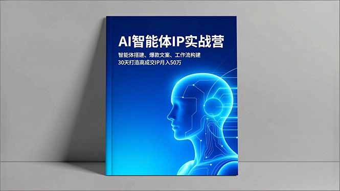 AI智能体IP实战营,智能体搭建、爆款文案、工作流构建,30天打造高成交IP月入50万|网创挖金社