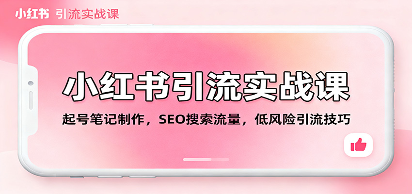 小红书引流实战课：起号笔记制作，SEO搜索流量，低风险引流技巧|网创挖金社