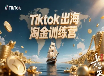 Tiktok出海淘金训练营，跨境电商TK实战变现|网创挖金社