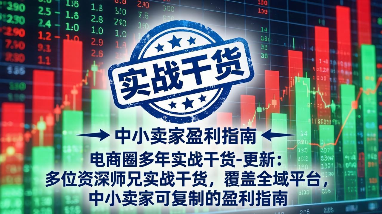 电商圈多年实战干货-更新4月：多位资深师兄实战干货，覆盖全域平台，中小卖家可复制的盈利指南|网创挖金社