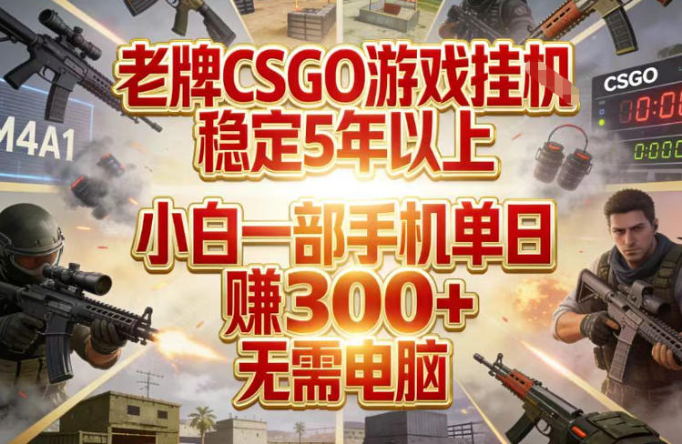 老牌CSGO游戏挂G，稳定5年以上，小白一部手机单日賺3张+，无需电脑【揭秘】|网创挖金社