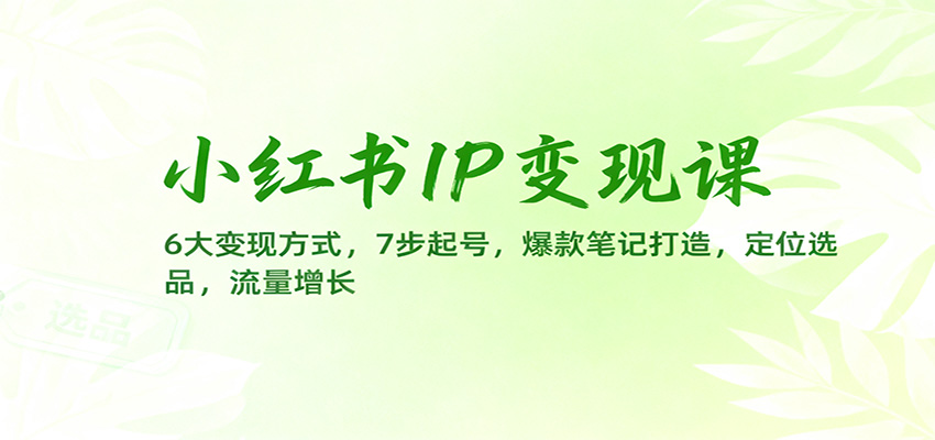 小红书IP变现课：6大变现方式，7步起号，爆款笔记打造，定位选品，流量增长|网创挖金社