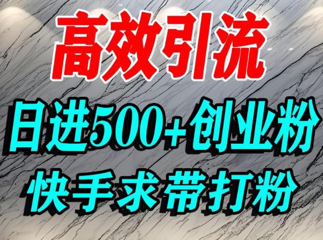 怎么打创业粉？快手求带视角精准引流创业粉，宝妈、学生群体日进500+精准流量|网创挖金社
