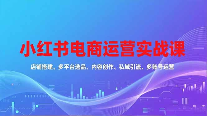 小红书电商运营实战课，店铺搭建、多平台选品、内容创作、私域引流、多账号运营等玩法|网创挖金社