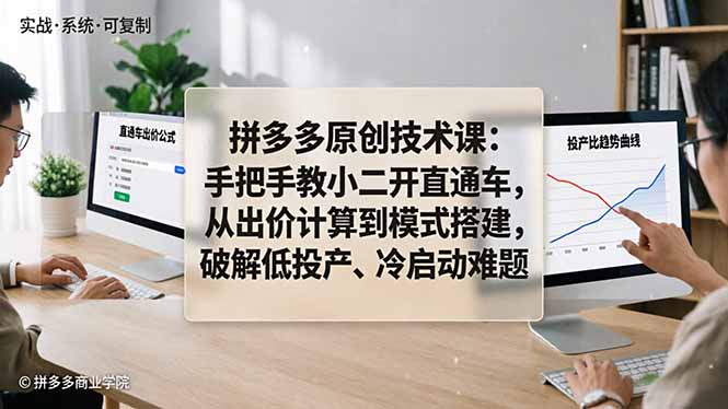 拼多多原创技术课：手把手教小二开直通车，从出价计算到模式搭建，破解低投产、冷启动难题|网创挖金社
