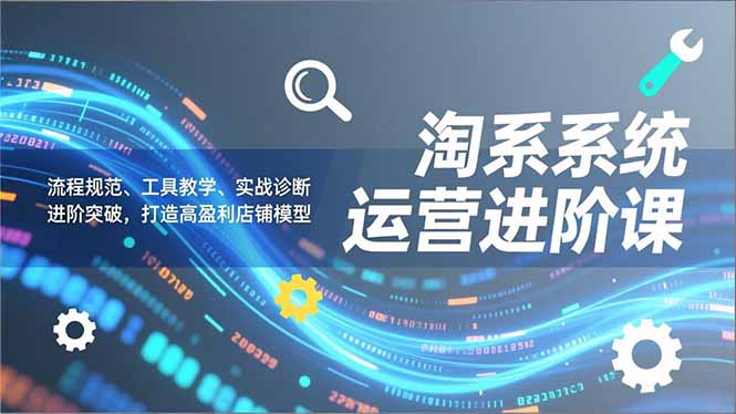 淘系系统运营进阶课2.0，流程规范、工具教学、实战诊断，进阶突破，打造高盈利店铺模型|网创挖金社