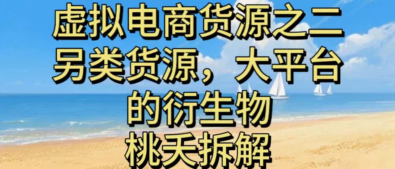 虚拟电商之二—另类的货源，大平台的衍生物|网创挖金社