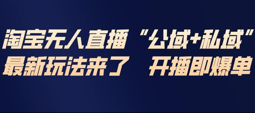 淘宝无人直播完整教程，公试+私域，最新玩法来了，开播即爆单|网创挖金社