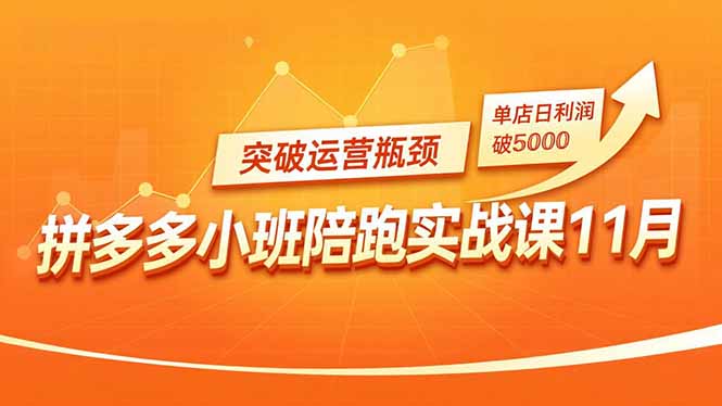 拼多多小班陪跑实战课11月，强付费矩阵、原价活动、暗券引流，突破运营瓶颈，单店日利润破5000|网创挖金社