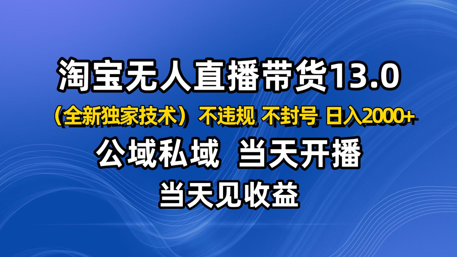 淘宝无人直播13.0，公域私域技术，不封号，不违规 布局下半年旺季赛道，日入2000+|网创挖金社