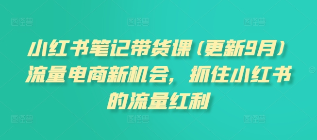 小红书笔记带货课，流量电商新机会，抓住小红书的流量红利(更新26年2月)|网创挖金社