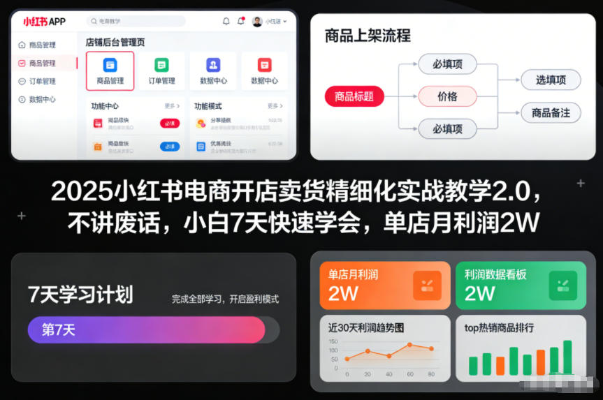 2025小红书电商开店卖货精细化实战教学2.0，不讲废话，小白7天快速学会，单店月利润2W|网创挖金社