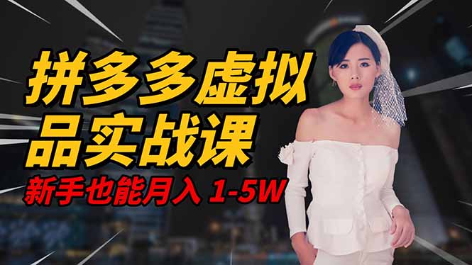2025 拼多多虚拟品系统实战课，轻资产项目，可矩阵开工作室，新手也能…|网创挖金社