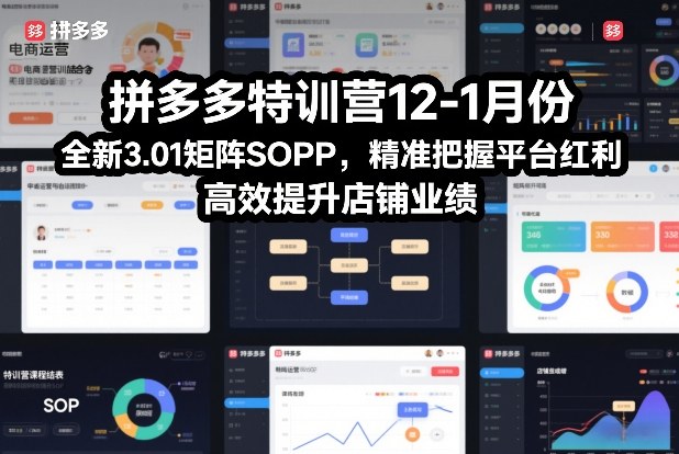 拼多多特训营12-1月份，全新3.01矩阵Sop，精准把握平台红利，高效提升店铺业绩|网创挖金社