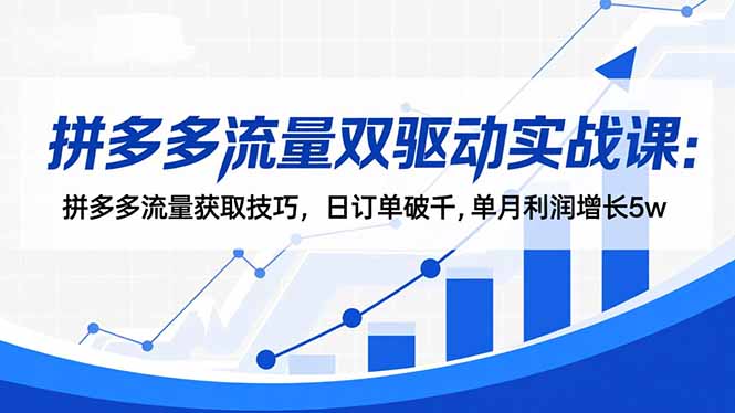 拼多多流量双驱动实战课：拼多多流量获取技巧，日订单破千,单月利润增长5w|网创挖金社