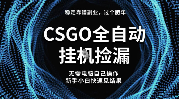 【稳定副业】全球最热门游戏CSGO全自动捡漏，最新玩法，新手小白日入5张+【揭秘】|网创挖金社