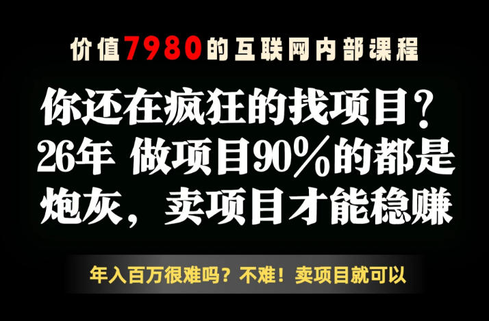 26年请不要疯狂的找项目了，卖项目远比你想象的暴利，你也可以月入10W+【揭秘】|网创挖金社