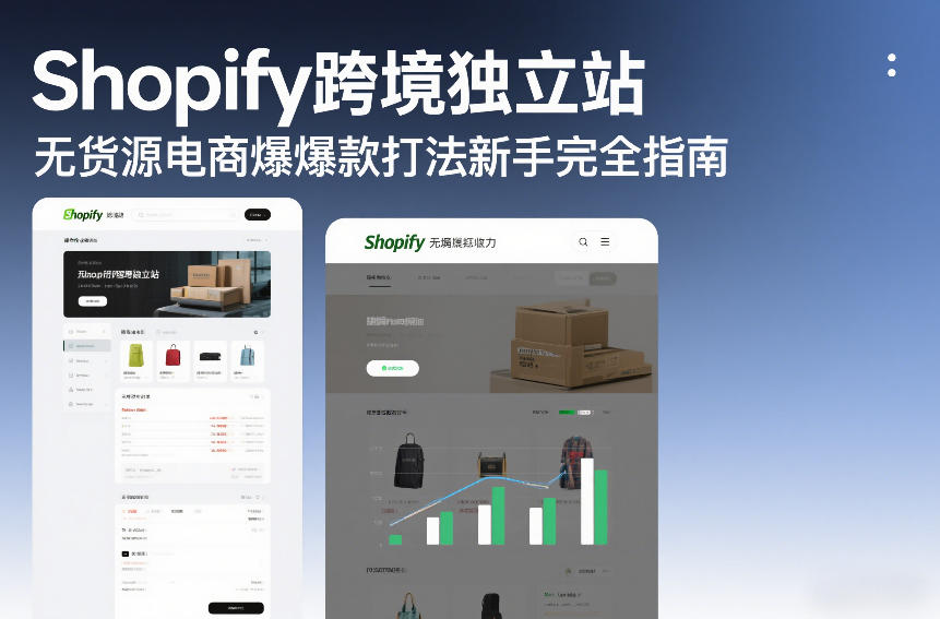 Shopify跨境独立站无货源电商爆款打法新手完全指南|网创挖金社