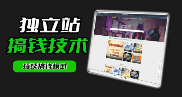 干货来袭！麦子甜带你吃透独立站｜从搭建到引流一站式教学《独立站》第一期|网创挖金社