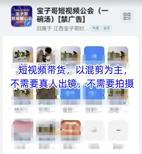 宝子哥头部团队短视频带货,以混剪为主,不需要真人出镜,不需要拍摄【更新12月】|网创挖金社