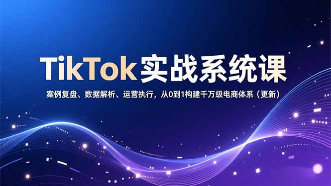 TikTok实战系统课,案例复盘、数据解析、运营执行,从0到1构建千万级电商体系(更新|网创挖金社