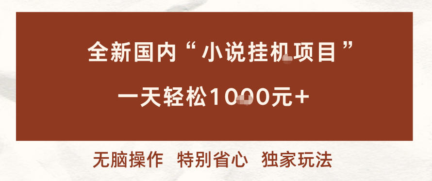 全新国内小说挂G项目，多窗口无脑跑，一天轻松1k+，特别省心【揭秘】|网创挖金社