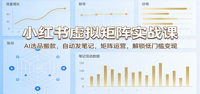 小红书虚拟矩阵实战课：AI选品搬款，自动发笔记，矩阵运营，解锁低门槛变现|网创挖金社