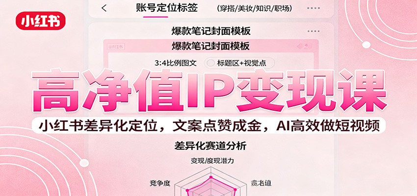 高净值IP变现课：小红书差异化定位，文案点赞成金， AI高效做短视频|网创挖金社