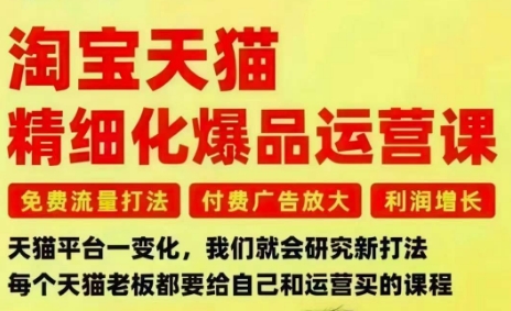 淘宝天猫精细化爆品运营课，免费流量打法-付费广告放大-利润增长-三大核心痛点，一次全部解决|网创挖金社