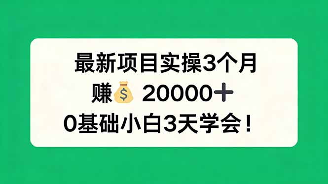 最新项目实操3个月，赚钱20000+，0基础小白3天学会！|网创挖金社