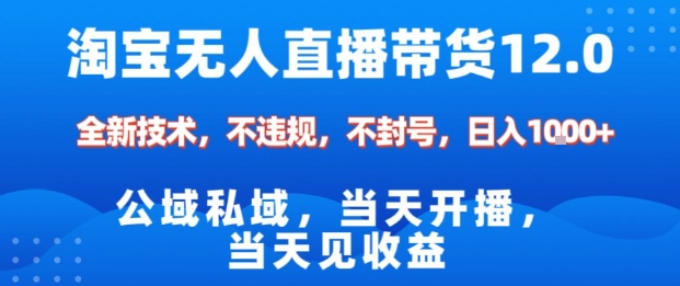 淘宝无人直播12.0，公域私域技术，不封号，不违规布局双十一流量风口，日入1k(独家技术)【揭秘】|网创挖金社