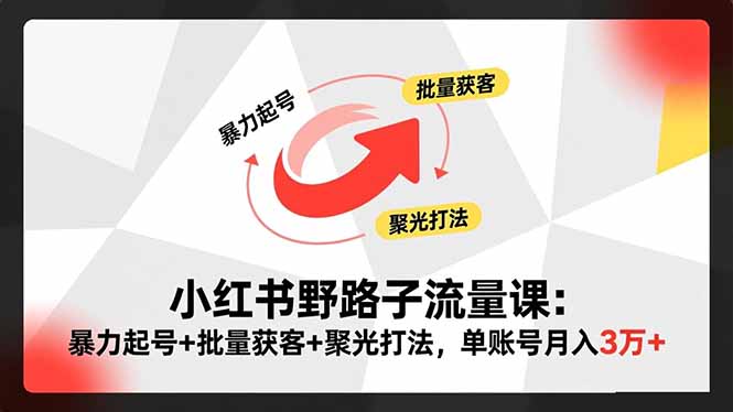 小红书野路子流量课：暴力起号+批量获客+聚光打法，单账号月入3万+|网创挖金社