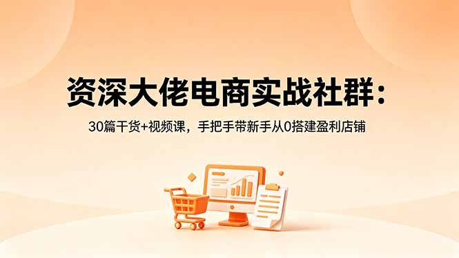 资深大佬电商实战社群：30篇干货+视频课，手把手带新手从0搭建盈利店铺|网创挖金社