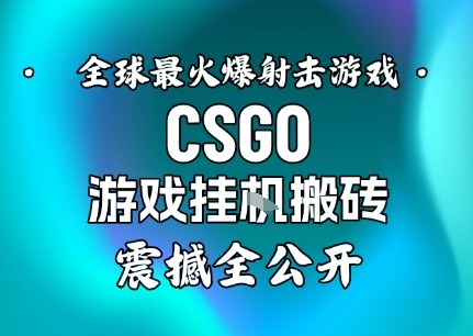 【年底大揭秘】基于全球最火爆的射击CSGO游戏挂G搬砖，日入5张+，震撼公开|网创挖金社