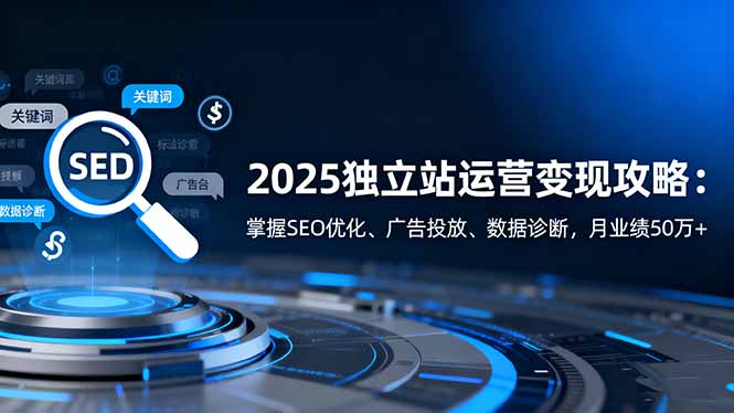 2025独立站运营变现攻略：掌握SEO优化、广告投放、数据诊断，月业绩50万+|网创挖金社