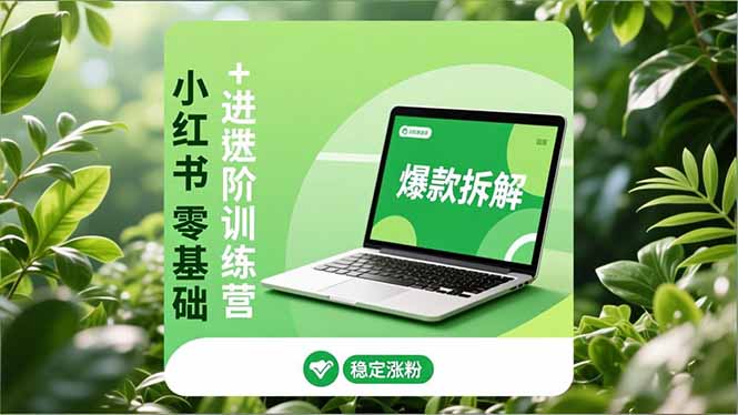 小红书零基础+高阶训练营:安全养号、爆款拆解、长效运营,实现稳定涨粉与变现|网创挖金社