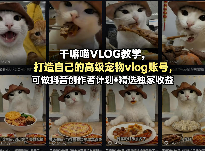 干嘛喵VLOG教学，打造自己的高级宠物vlog账号，可做抖音创作者计划+精选独家收益|网创挖金社