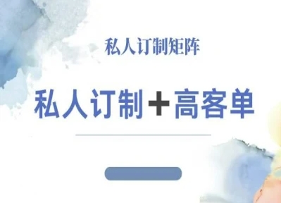 小红书自媒体咨询师IP教程，私人定制+高客单|网创挖金社