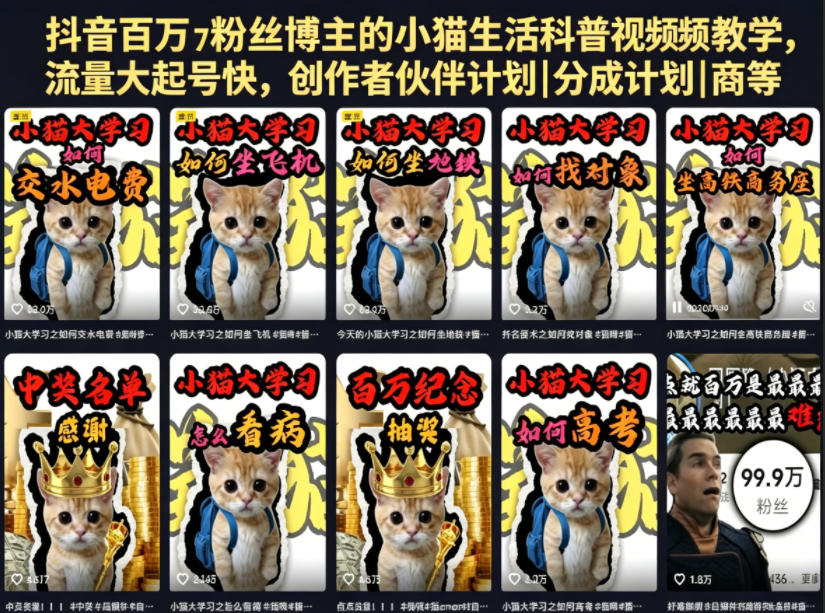 抖音百万粉丝博主的小猫生活科普视频教学，流量大起号快，创作者伙伴计划|分成计划|商单|收徒等|网创挖金社