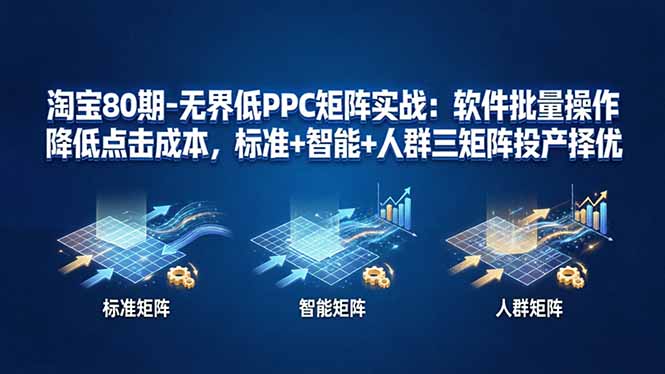 淘宝80期-无界低PPC矩阵实战：软件批量操作降低点击成本，标准+智能+人群三矩阵投产择优|网创挖金社