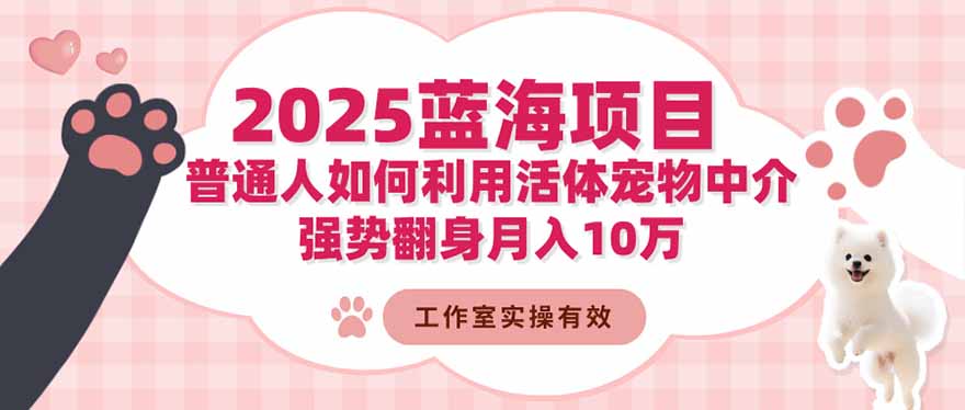 2025蓝海项目：普通人如何利用活体宠物中介，强势翻身月入10万|网创挖金社