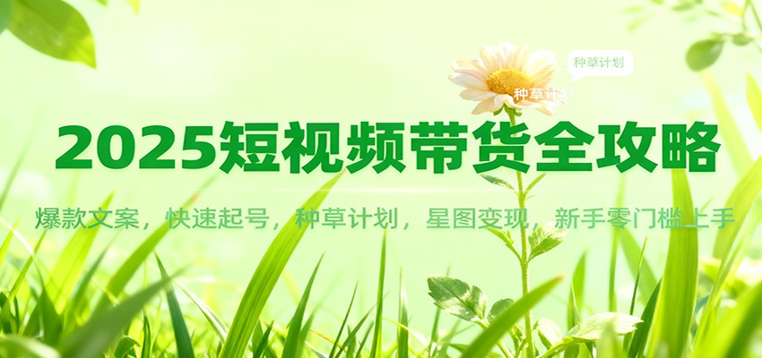 2025短视频带货全攻略：爆款文案，快速起号，种草计划，星图变现，新手零门槛上手|网创挖金社