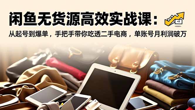 闲鱼无货源高效实战课：从起号到爆单，手把手带你吃透二手电商，单账号月利润破万|网创挖金社