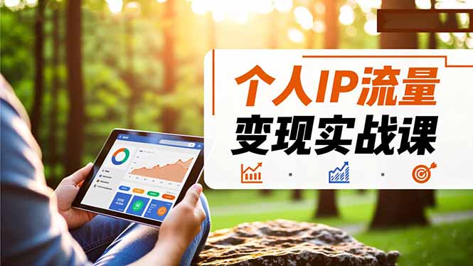 个人IP流量变现实战课，涵盖多平台引流、打造个人IP并实现稳定流量变现|网创挖金社