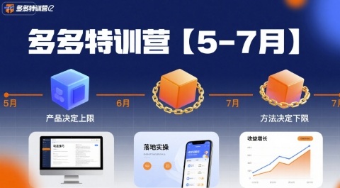 多多特训营，产品决定上限，方法决定下限，各种玩法技巧落地实操(更新)|网创挖金社